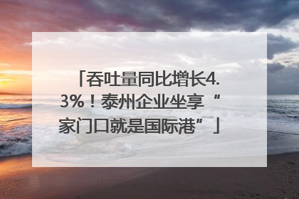 吞吐量同比增长4.3%！泰州企业坐享“家门口就是国际港”