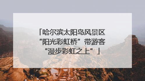 哈尔滨太阳岛风景区“阳光彩虹桥”带游客“漫步彩虹之上”
