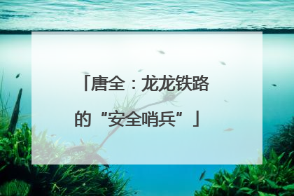 唐全：龙龙铁路的“安全哨兵”