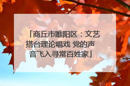 商丘市睢阳区：文艺搭台理论唱戏 党的声音飞入寻常百姓家