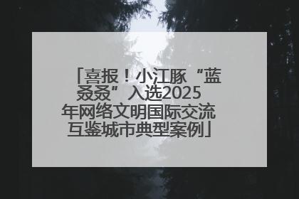 喜报！小江豚“蓝叒叒”入选2025年网络文明国际交流互鉴城市典型案例