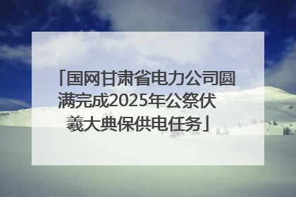 国网甘肃省电力公司圆满完成2025年公祭伏羲大典保供电任务