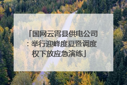国网云霄县供电公司：举行迎峰度夏暨调度权下放应急演练