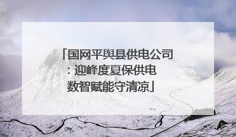 国网平舆县供电公司：迎峰度夏保供电  数智赋能守清凉