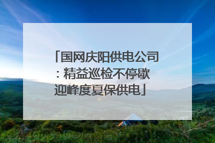 国网庆阳供电公司：精益巡检不停歇 迎峰度夏保供电