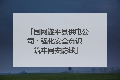 国网遂平县供电公司：强化安全意识 筑牢网安防线
