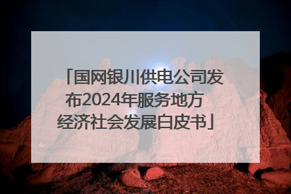 国网银川供电公司发布2024年服务地方经济社会发展白皮书
