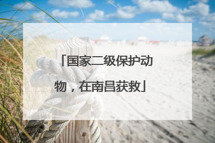 国家二级保护动物，在南昌获救