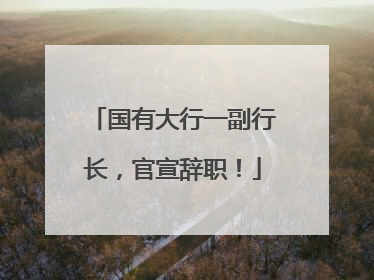 国有大行一副行长，官宣辞职！