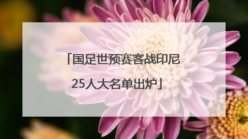 国足世预赛客战印尼25人大名单出炉