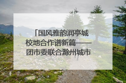 国风雅韵润亭城 校地合作谱新篇——团市委联合滁州城市职业学院助力传统文化“破圈”绽放
