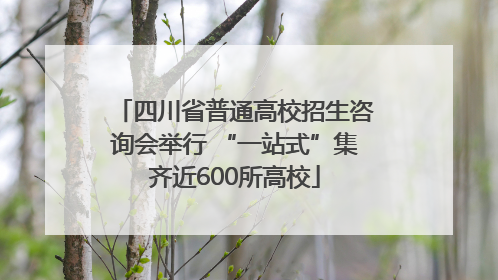 四川省普通高校招生咨询会举行 “一站式”集齐近600所高校