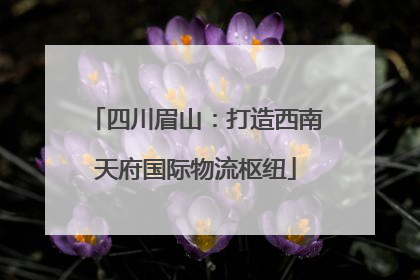 四川眉山：打造西南天府国际物流枢纽