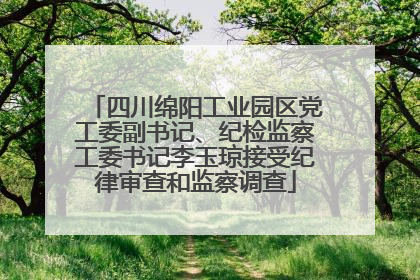 四川绵阳工业园区党工委副书记、纪检监察工委书记李玉琼接受纪律审查和监察调查
