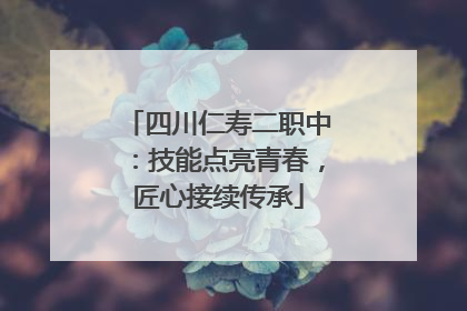 四川仁寿二职中：技能点亮青春，匠心接续传承