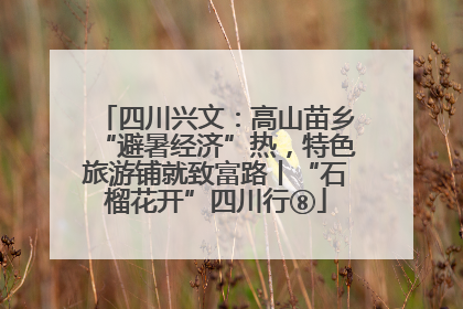 四川兴文：高山苗乡“避暑经济”热，特色旅游铺就致富路丨“石榴花开”四川行⑧