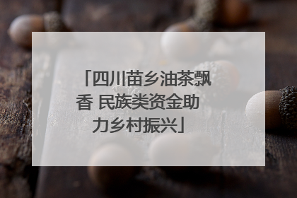 四川苗乡油茶飘香 民族类资金助力乡村振兴