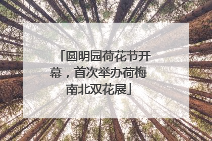圆明园荷花节开幕，首次举办荷梅南北双花展