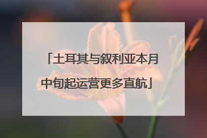 土耳其与叙利亚本月中旬起运营更多直航