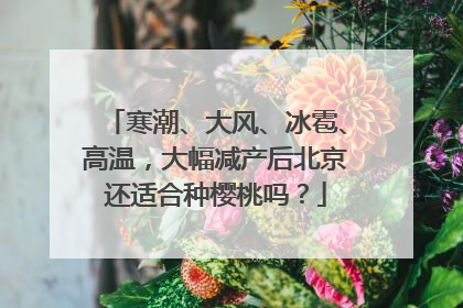 寒潮、大风、冰雹、高温，大幅减产后北京还适合种樱桃吗？