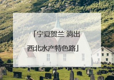 宁夏贺兰 淌出西北水产特色路