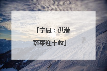 宁夏：供港蔬菜迎丰收