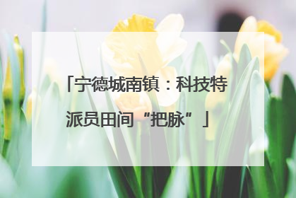 宁德城南镇：科技特派员田间“把脉”