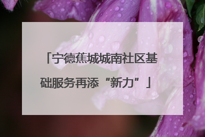 宁德蕉城城南社区基础服务再添“新力”