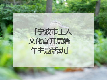 宁波市工人文化宫开展端午主题活动