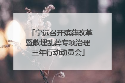 宁远召开殡葬改革暨散埋乱葬专项治理三年行动动员会