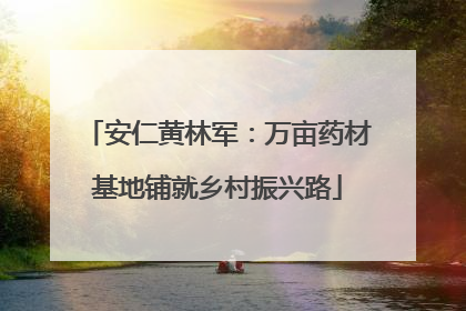 安仁黄林军：万亩药材基地铺就乡村振兴路