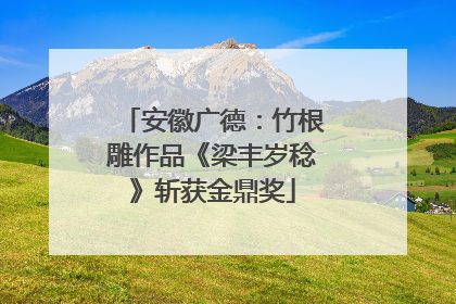 安徽广德：竹根雕作品《梁丰岁稔》斩获金鼎奖