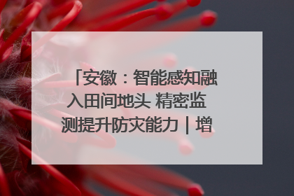 安徽：智能感知融入田间地头 精密监测提升防灾能力｜增发国债气象项目落地见效系列报道