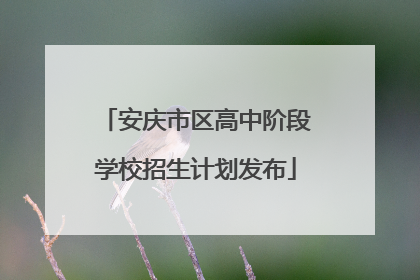 安庆市区高中阶段学校招生计划发布