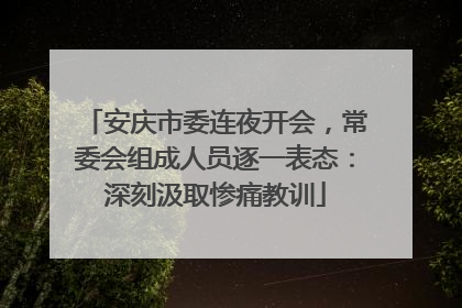安庆市委连夜开会，常委会组成人员逐一表态：深刻汲取惨痛教训