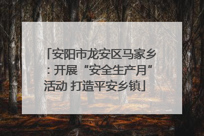 安阳市龙安区马家乡：开展“安全生产月”活动 打造平安乡镇