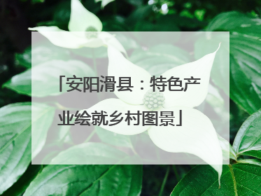 安阳滑县：特色产业绘就乡村图景