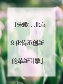 宋歌：北京文化传承创新的革新引擎