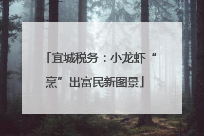 宜城税务：小龙虾“烹”出富民新图景