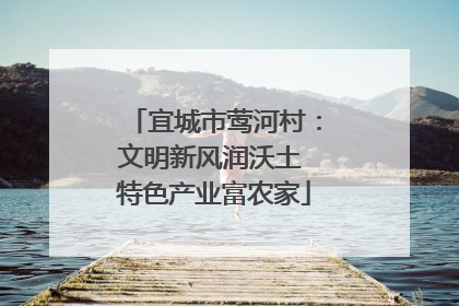宜城市莺河村：文明新风润沃土 特色产业富农家