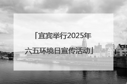 宜宾举行2025年六五环境日宣传活动