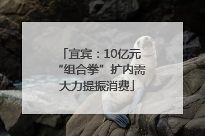 宜宾：10亿元“组合拳”扩内需 大力提振消费
