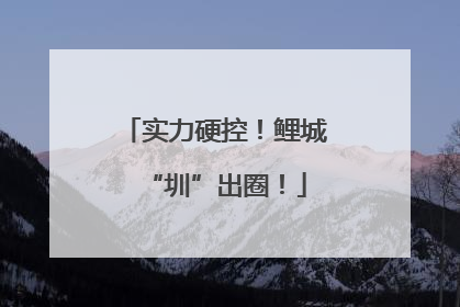 实力硬控！鲤城“圳”出圈！