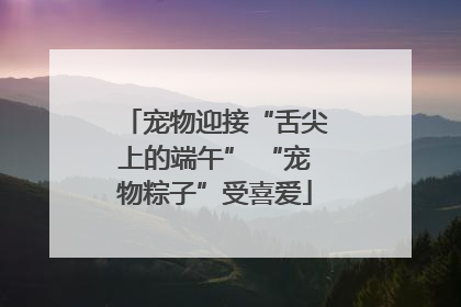 宠物迎接“舌尖上的端午” “宠物粽子”受喜爱