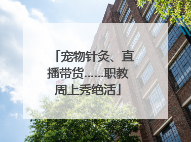 宠物针灸、直播带货……职教周上秀绝活