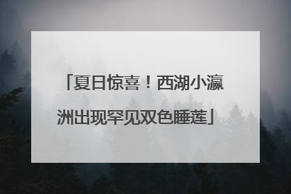 夏日惊喜！西湖小瀛洲出现罕见双色睡莲