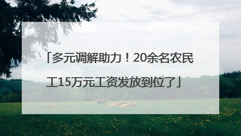 多元调解助力！20余名农民工15万元工资发放到位了