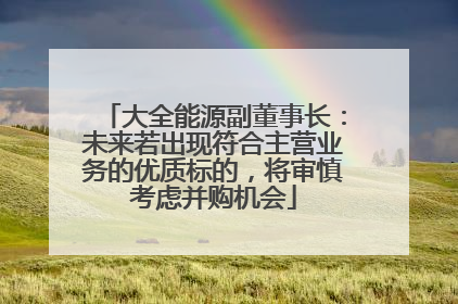 大全能源副董事长：未来若出现符合主营业务的优质标的，将审慎考虑并购机会