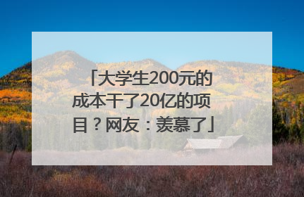 大学生200元的成本干了20亿的项目？网友：羡慕了