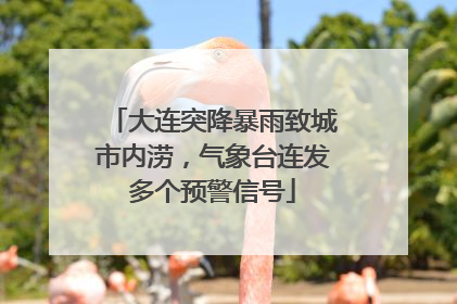 大连突降暴雨致城市内涝，气象台连发多个预警信号